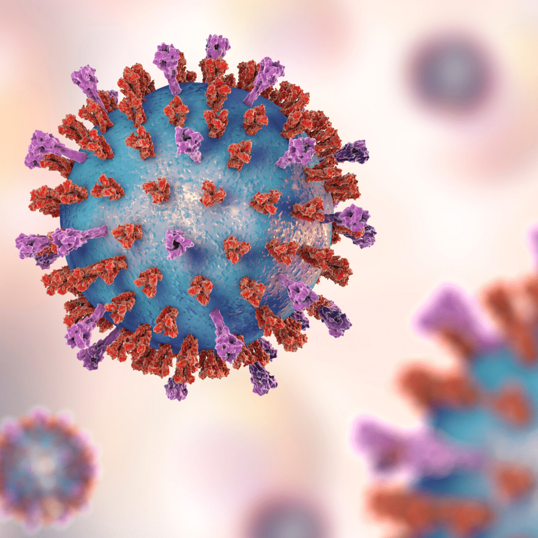 Image is a rendering of a microscopic virus