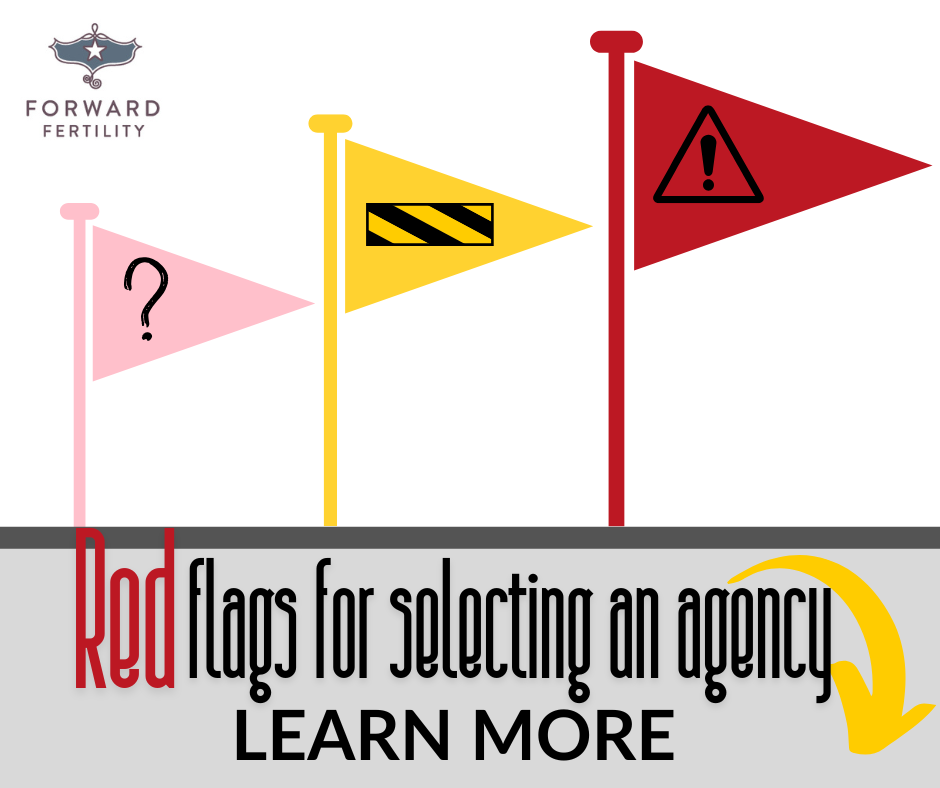 Learn about Red and Pink flags for Surrogacy Agencies - so you find the right one!