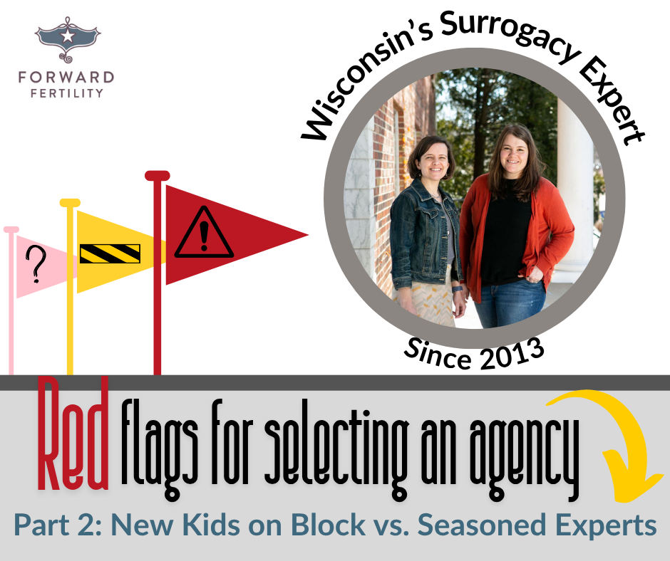Red Flags for selecting an agency